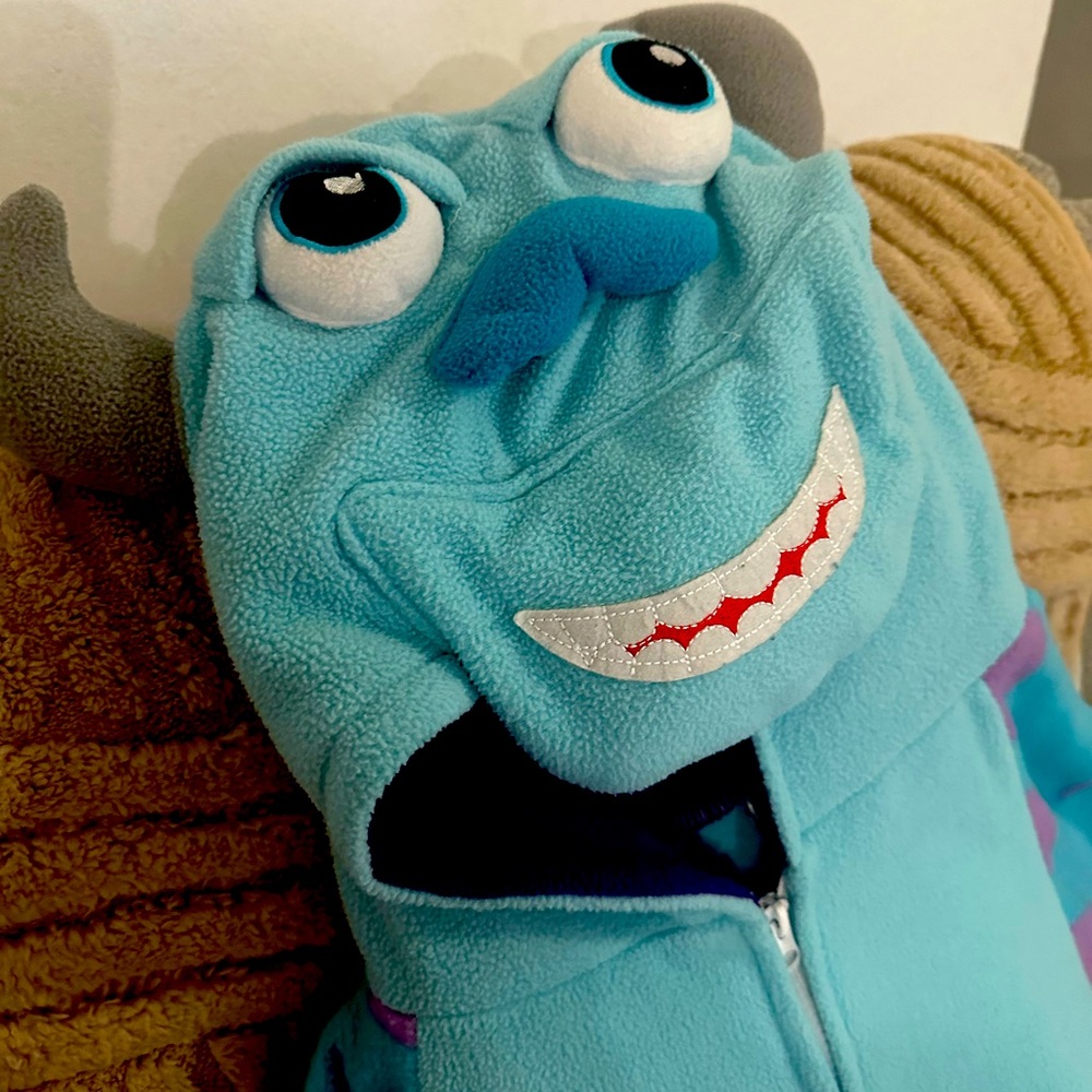 SULLEY COSTUME/Pajama